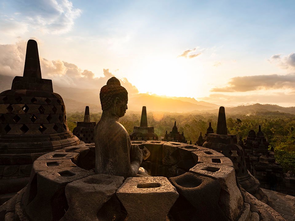 Vanilla curing process